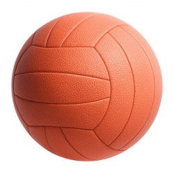 Net Ball